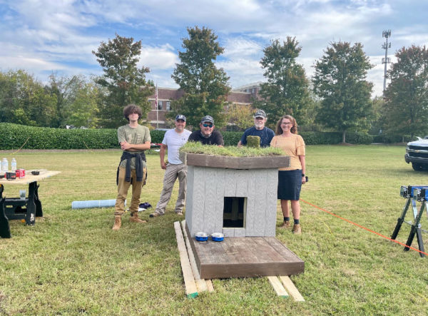 Grassy Top Dog House